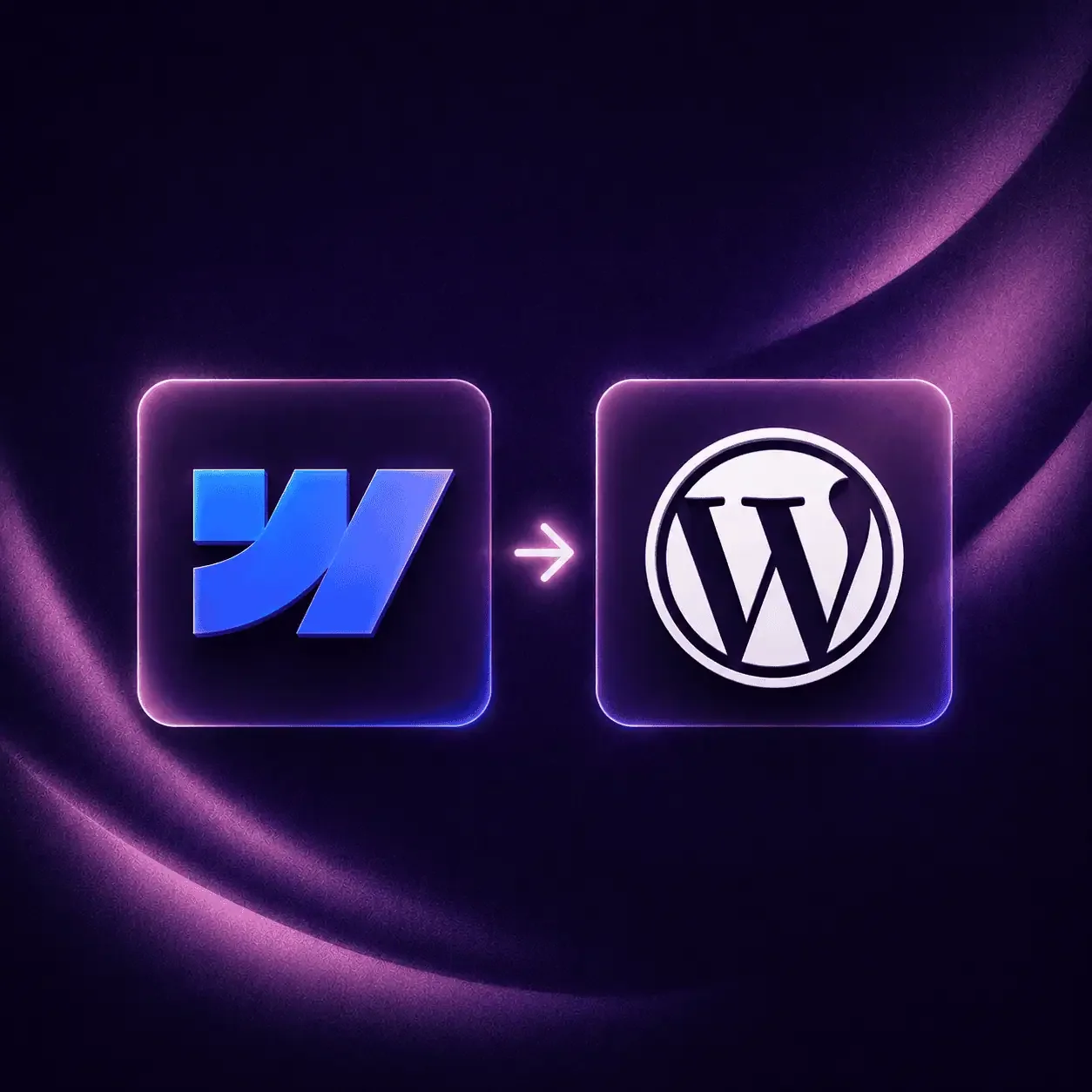 Webflow to WordPress Migration