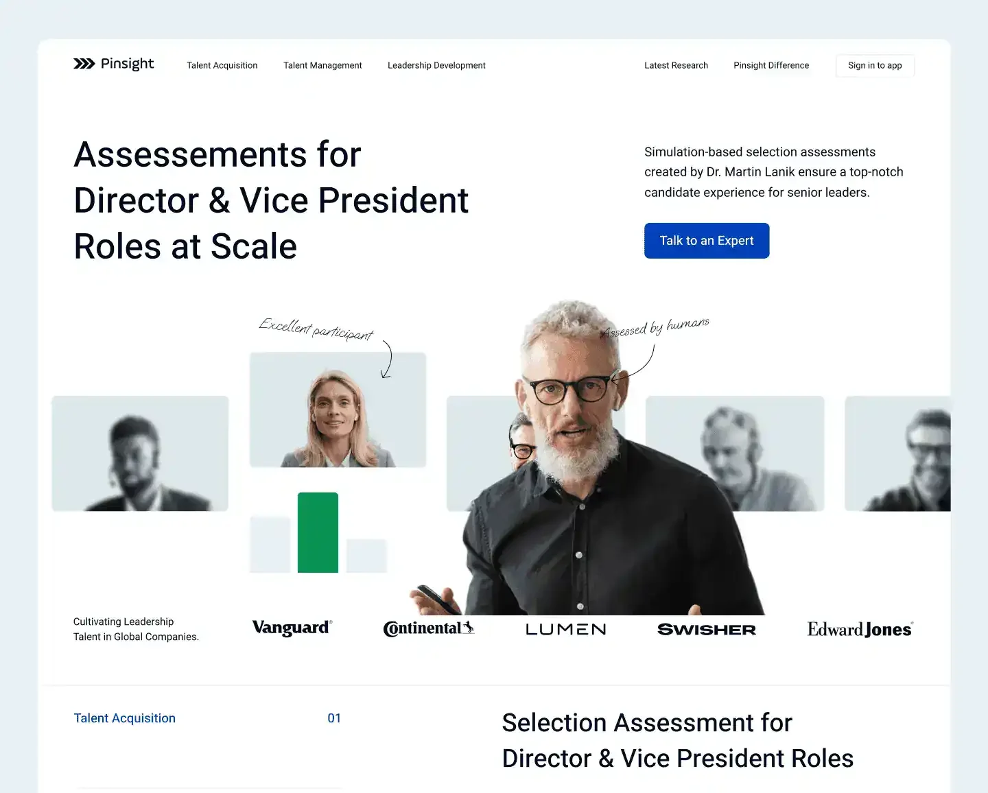 Pinsight website